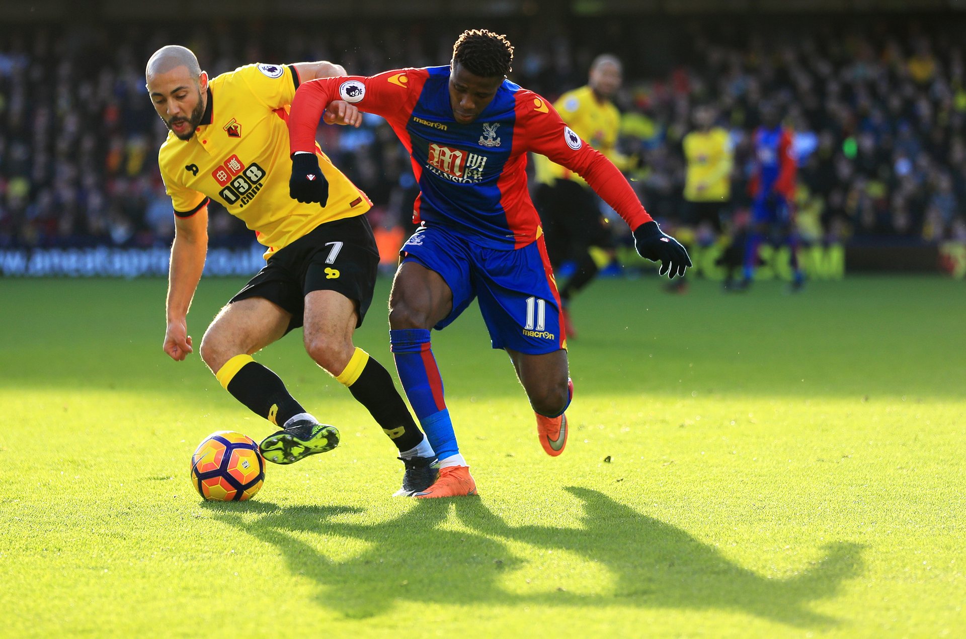 队协作和竞 队协作和竞